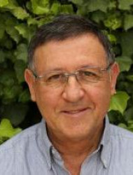 מירוויס