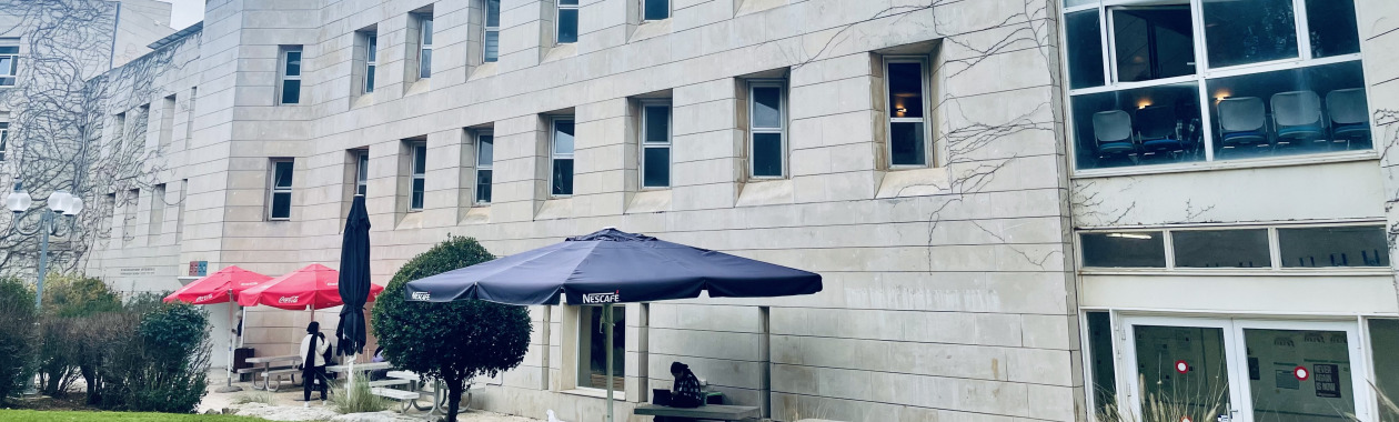 לוגו בית הספר לעבודה סוציאלית