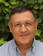מירוויס